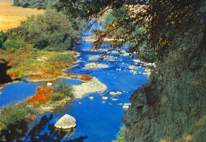 Rositsa River - Rzeka Rositsa 