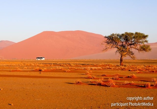 Na pustyni - In the desert