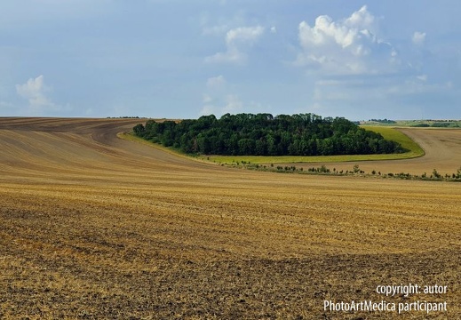Pola pod Austerlitz - Austerlitz fields