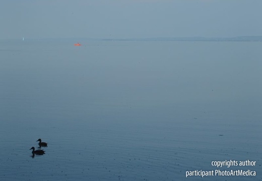Fisherman in the Lake Balaton - Wędkarz na Jeziorze Balaton