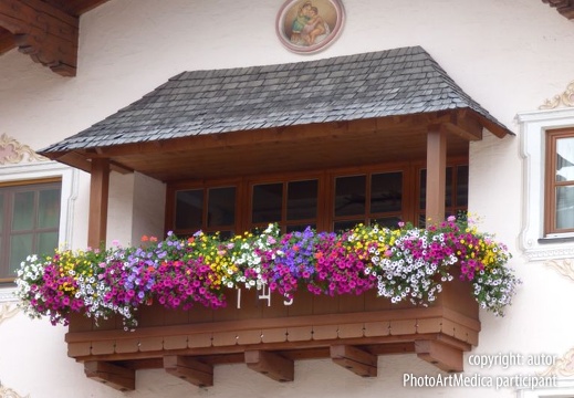 Alpejski balkonik - Alpine balcony