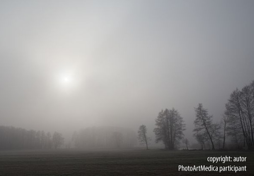 Słońce we mgle - The sun in the fog