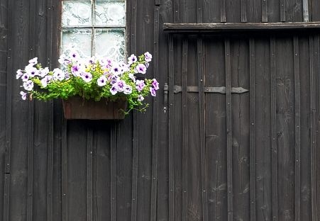 Okno z kwiatami - Window with flowers