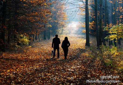 Jesienny spacer - Autumn walk