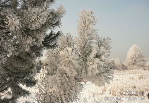 Zimowy poranek - Winter morning
