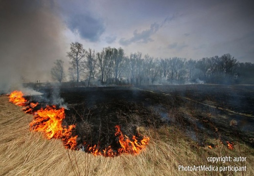 Natura w płomieniach - Nature in flames