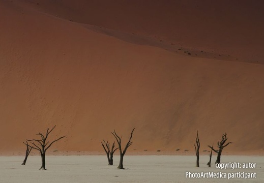 Pustynia Namib - Namib desert