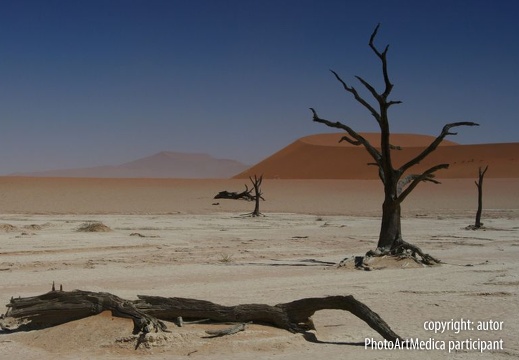Pustynia Namib 2 - Namib desert 2