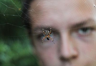 Portret z pająkiem - A portrait with a spider